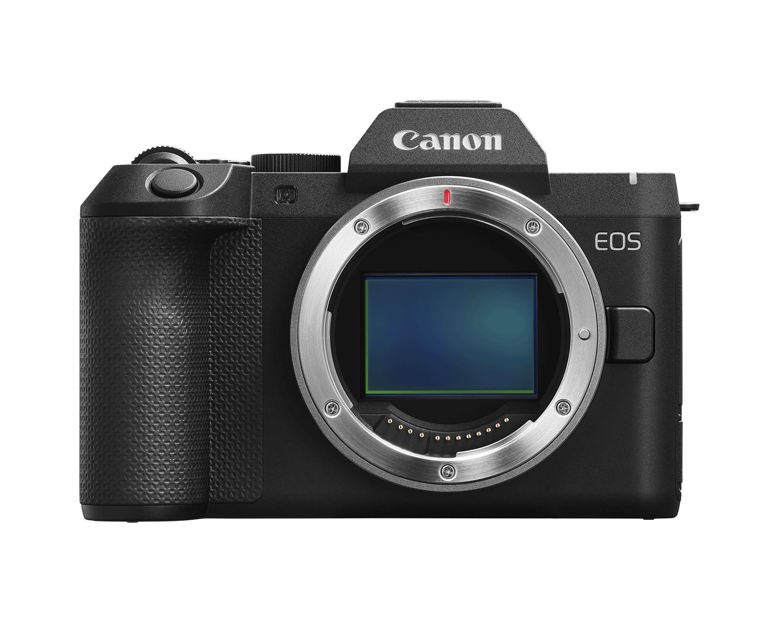 Canon EOS R8 Mark II camera body